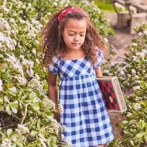 Janie and Jack Picnic Perfect Dress Toddler Girls Dress Gingham blue white 2T